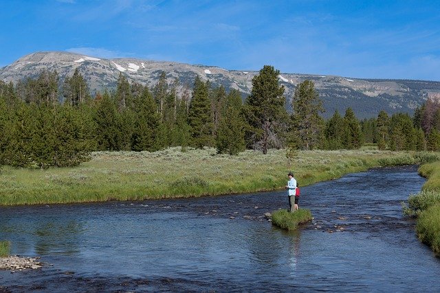 Understanding Different Fishing Techniques: Fly Fishing, Spin Fishing, And More